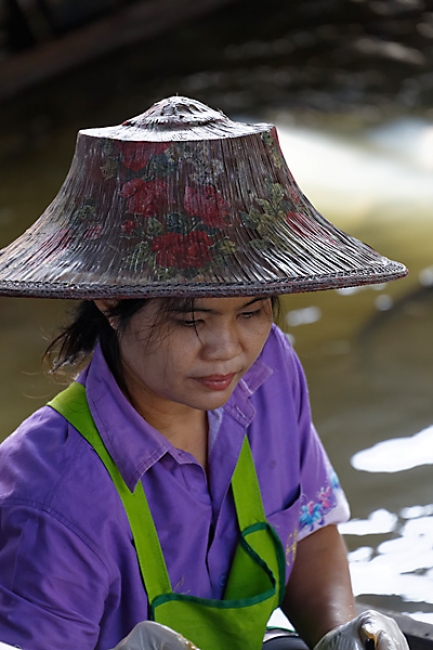 Talin chan-NOV13-170